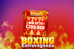 Boxing Extravaganza